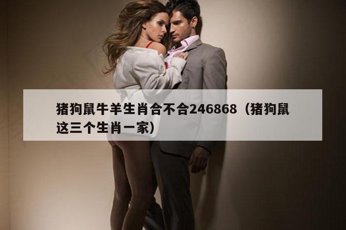 猪狗鼠牛羊生肖合不合246868（猪狗鼠这三个生肖一家）